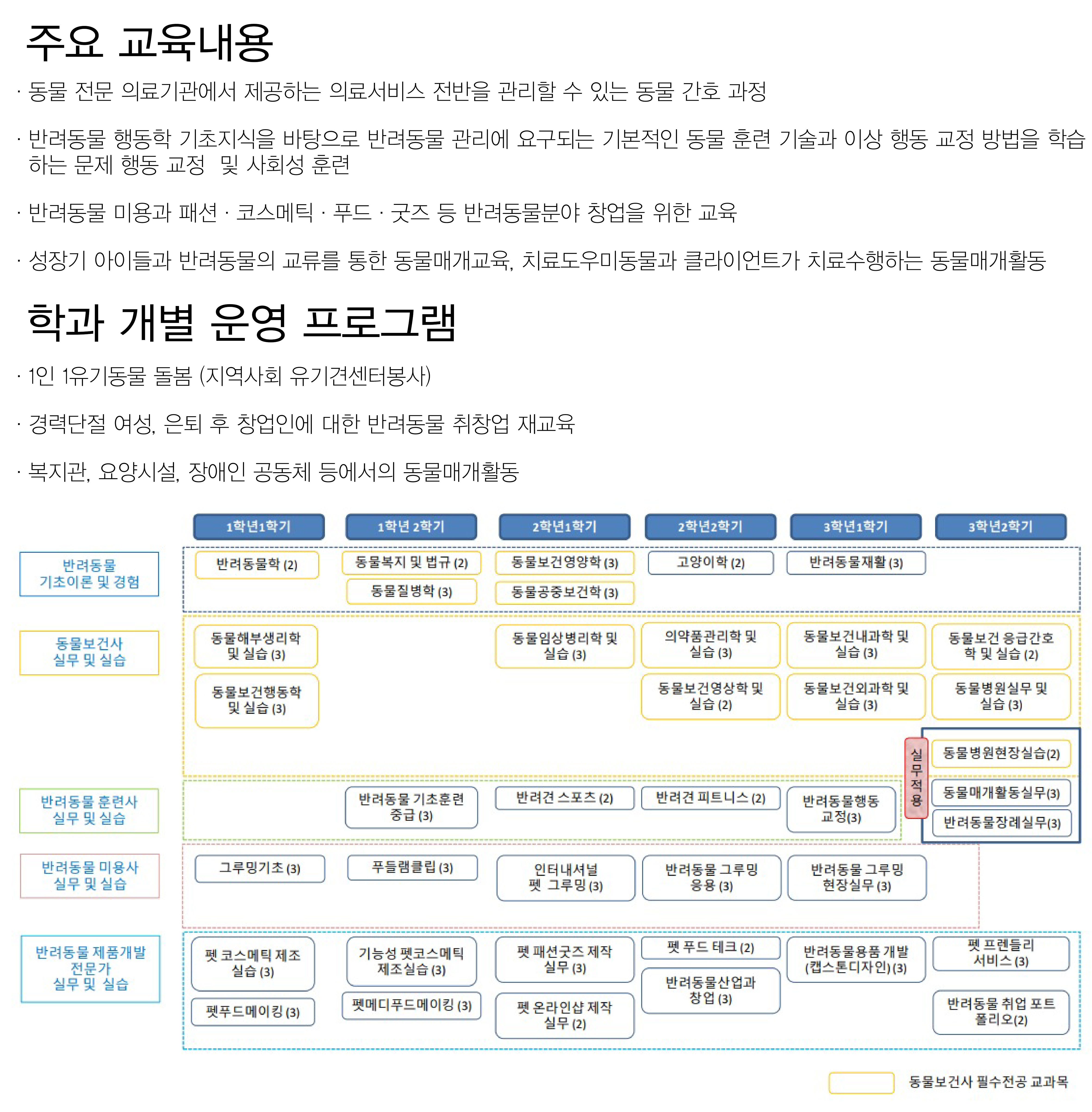 교과과정로드맵