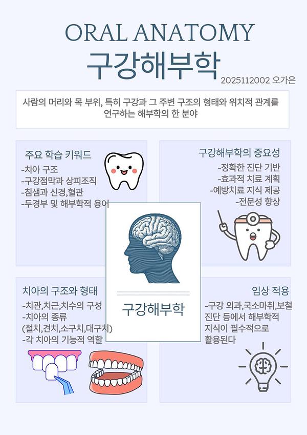 구강해부학.jpg